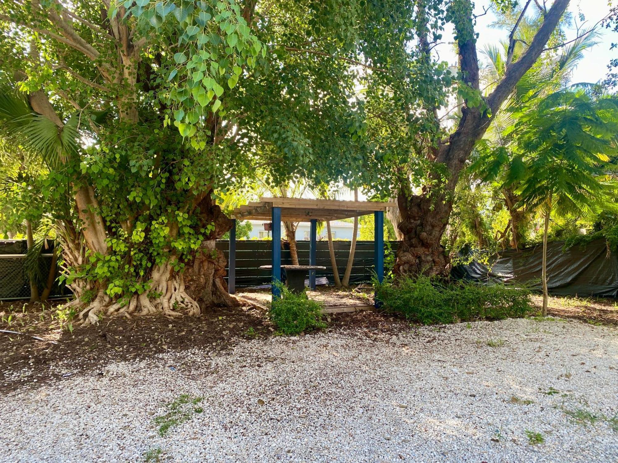Private Rooms At Miami Centrally Located With Free Parking Esterno foto